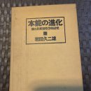 1981년 "이와타 쿠지오" 저 "본능의 진화 벌의 비교 습성학적연구" 이미지