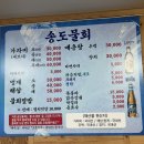 강원도 속초 맛집 송도물회 - 세꼬시회, 회덮밥 내돈내산 솔직 후기(메뉴, 주차정보)