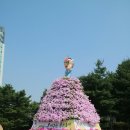 클래식과 재즈가 있는 오후의 산책 이미지