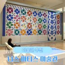 [미술관 추천] 남프랑스 니스 마티스 미술관🎨
