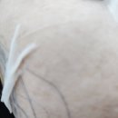 바이피토 레스트 포 로맨스 PDRN 뽑아쓰는 마스크팩 솔직후기!! 비건으로 매일 회복되는 피부!