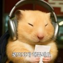 서울구치소 | (전세사기 후기)서울시 관악구 보증금 1억 6천만원이 날라갔다!(3) ★2026 최소보장제 발표!★