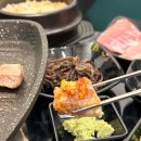 도니조아 이미지