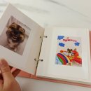 아이템하이브 | [제품리뷰]포토북 하이브메이드 네컷사진앨범으로 강아지 추억 보관중 후기,가격,정보