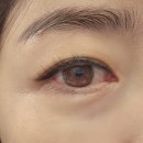 그로우속눈썹 | 다이소 속눈썹 영양제 그로우어스 2in1 속눈썹 영양제 내돈내산 후기