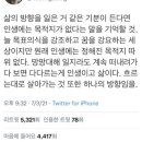 선미미