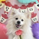 포그니유치원 이미지