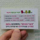 비오비애완용품아울렛 수송점 이미지