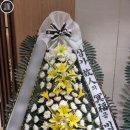 세브란스플라워