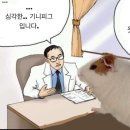 피그