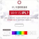 엘케이몰
