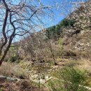 가평물골숲계곡캠핑장 이미지