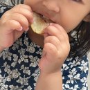 바른치킨옥계점 이미지