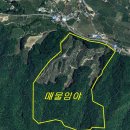 문경공인중개사사무소 Daum카페