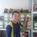 827012 Daum카페
