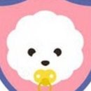 펫을 부탁해 이미지