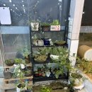 가마솥돼지국밥 | 와..돼지국밥집에 짜글이가 진짜 대박이네 거창가마솥돼지국밥 짜글이 찐텐후기 주촌맛집 김해맛집