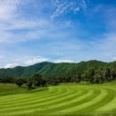 골프드래곤 이미지