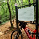 국사봉 지석묘군 이미지