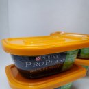 냠딱지개 | [보테랜드 운동회]프로플랜 습식사료와 냠딱지개 수제간식😍