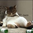 모전곱창 이미지