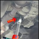 하이카동백점 이미지