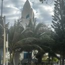 씨씨레스토랑 이미지