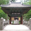 칠불사다리 밑 | 남도 여행 (쌍계사)