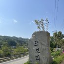 또보리캠프 | 강원도 횡성 또보리 캠프 아랫동네 5번::애견동반 캠핑
