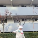 포커시스 디자인 아카이브 네이버블로그