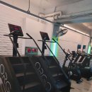 루이 짐 이미지