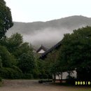 산사죽향