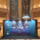 (주)백조 | [Ballet] 예술의전당 오페라극장: 국립발레단 백조의 호수 공연 관람 후기(26/4/8, 1층 BOX1)