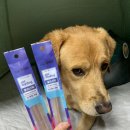 오마이독(oh my dog) 이미지