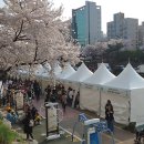 2024년 불광천 벚꽃축제 ＜은평의 봄＞ 이미지