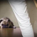 박종현농장 이미지