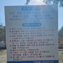 돌집야영장 이미지