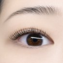 병점2로 | 부러올 속눈썹 병점본점 속눈썹연장 후기