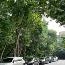 자하동길 18 이미지