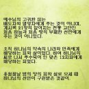 [성찬식의 참의미] 성경에서 말하는 누가복음 22장의 성찬식의 떡과 포도주 이미지