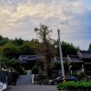 열녀 광산김씨 정려 이미지