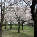 서호우체국 이미지