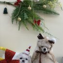 양파살롱 이미지