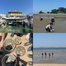 [인천 섬 여행] 자월도 추억만들기펜션 +장골해변 갯벌 조개잡이~~