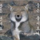 바닷가 작은 집 이미지