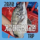 거금해양낚시공원 | 거금해양낚시공원