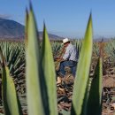 U-STAY HOSTEL 이미지