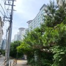 우성(월드)그린