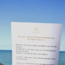 에이치콤마(H-COMMA) 이미지