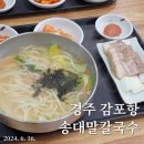 송대말칼국수 | 경주 감포항, 송대말칼국수 내돈내산 다녀온 후기!
